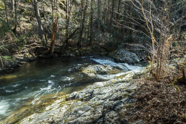 istock Nature scene with river and rocky banks 1277139992