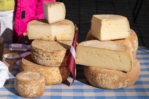 istock Variety homemade bio natural cheese 1277142415
