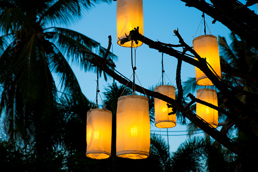 Illuminated yellow decorative lantern lamps hanging on tree at night