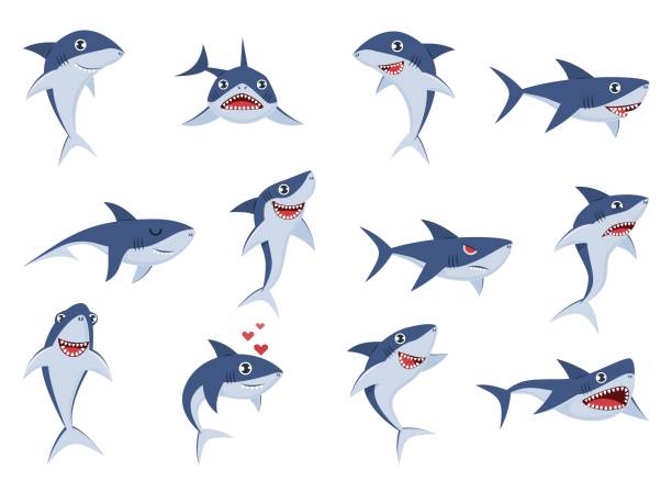 cartoon cute rekiny. podwodne postacie o różnych emocjach, szczęśliwe, smutne i zaskoczone, uśmiechnięte, śmieszne i wściekłe naklejki maskotki ryb oceanicznych, komiksowy zestaw płaskich wektorów - wild game stock illustrations