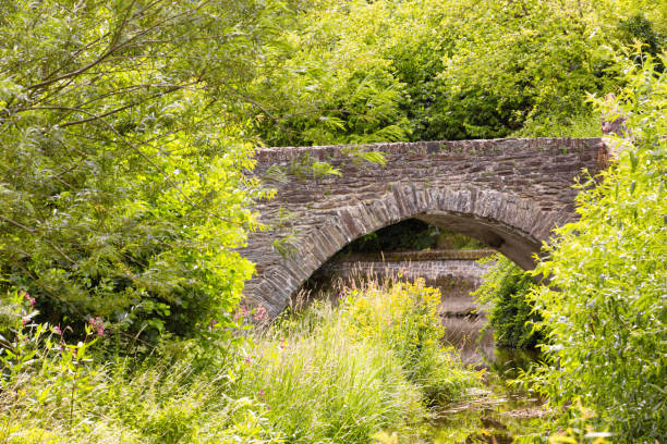 istock An ancient stone bridge across a small creek with trees and bushes in foreground and background 1277143762