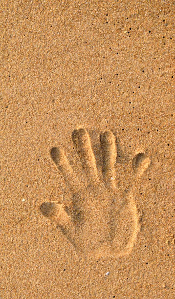 istock human hand print on sand of beach with empty space. 1277143813