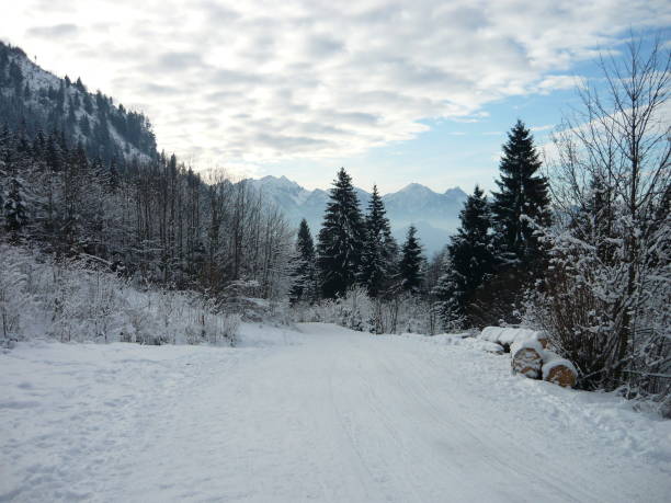 istock Winter frost scenes 1277143853