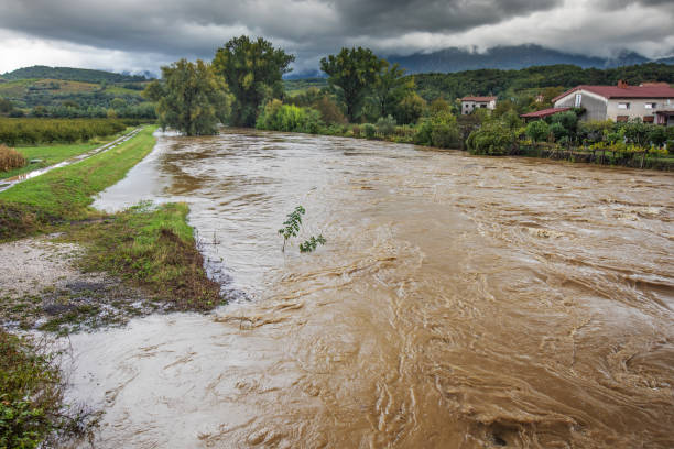 Immerse yourself in the tranquil beauty of a river winding through rain-kissed bushes. Raindrops dance on foliage, creating a serene and refreshing scene in the heart of nature