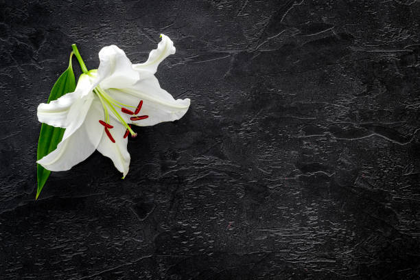 istock Lily funeral flower on dark stone. Condolence card with copy space 1277145295