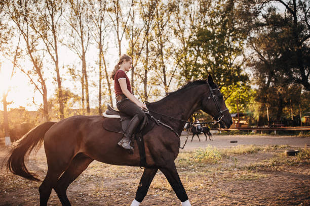 istock Girl riding a horse 1277145786