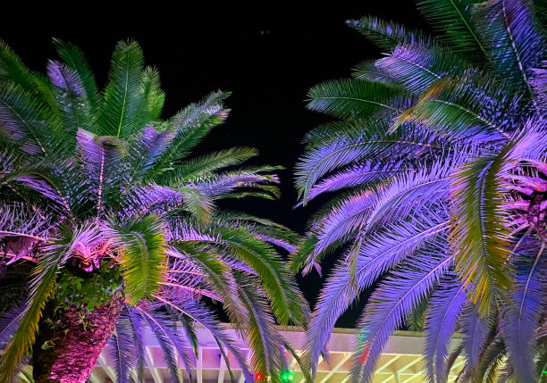 istock Hotel territory on the black sea 1277146633