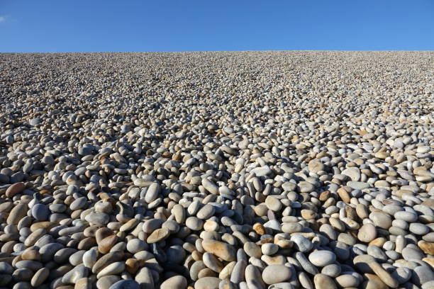 Beach with pebbles in Patagonia, Tierra del Fuego, Argentina in spring, with a penguin in the background