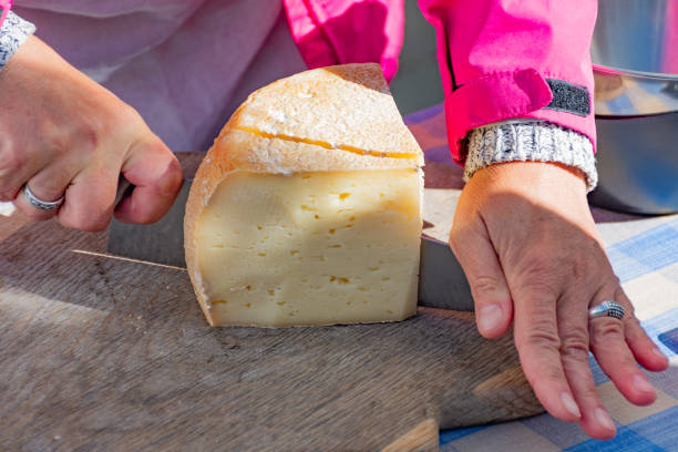 istock Homemade bio natural cheese 1277147046