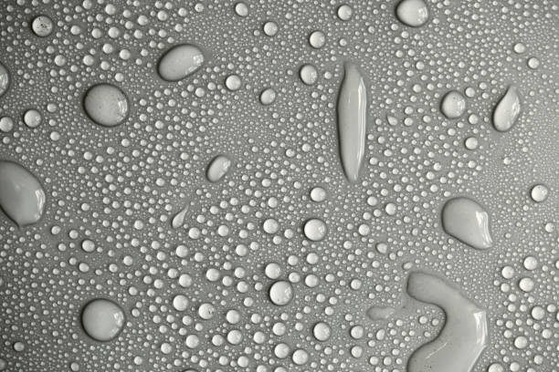 istock Large number of water drops. Abstract background texture. Waterfalls on a solid background, collecting bubbles on a clean surface. Raindrops, a series of natural photographs 1277149494