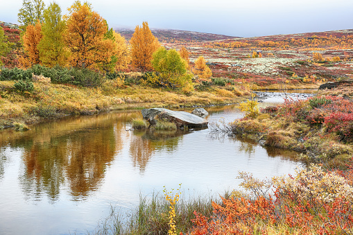 fall in the Forollhogna national park, Norway