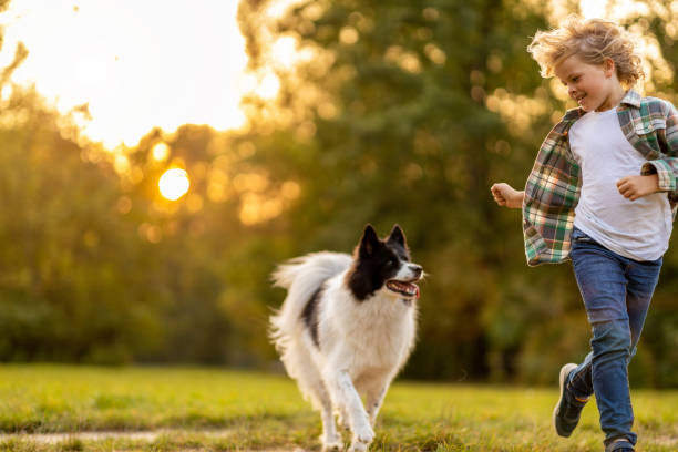 istock Little boy playing with his dog outdoors in the park 1277153358