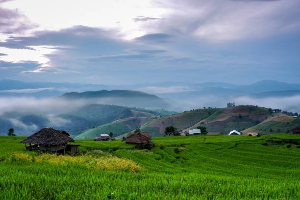 istock Beautifull landscape of rice terraces. 1277155161