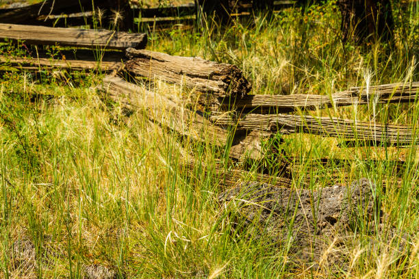 istock A zigzag fence made from old lumber 1277158693