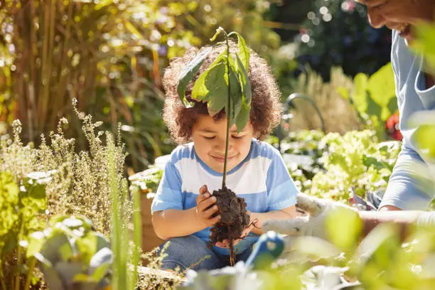 Photo of Grandmother and cute little boy gardening outdoors
