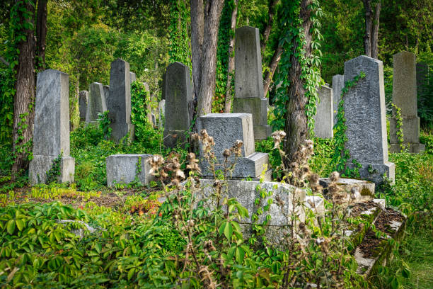 istock Jewish Cemetery 1277165420