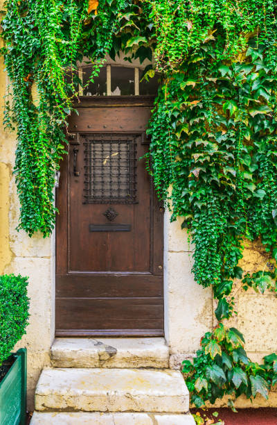 istock wooden door 1277165877