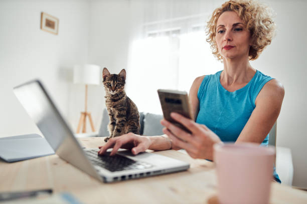 istock Woman working from home on a laptop / notebook with cat pet with her. 1277166985