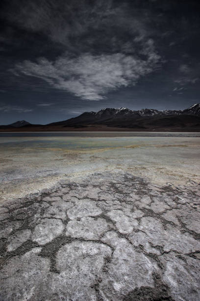 istock Dry Laguna in Altiplano 1277168370