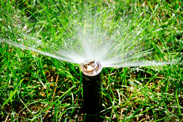 istock Sprinkler spraying fresh wet water on lush green yard lawn grass 1277168607