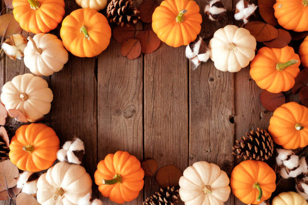 istock Fall frame of orange and white pumpkins with autumn decor over a rustic dark wood background 1277172489
