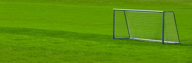 Green stadium field with white boundary line closeup