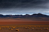 Yellow grass and red sand in Altiplano