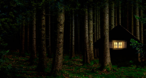 illuminated window in the woods at night - barn wood window farm imagens e fotografias de stock