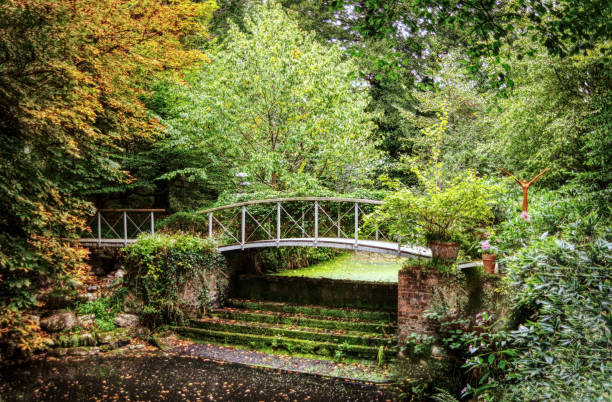 istock curved bridge over water in autumn 1277179575