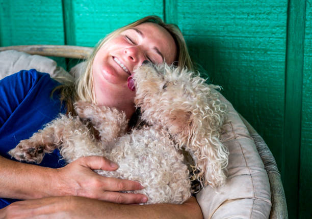 istock Woman spending time with her dog getting a kiss 1277182000