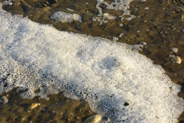 istock White Bubbly Sea Foam on a Beach 1277183464