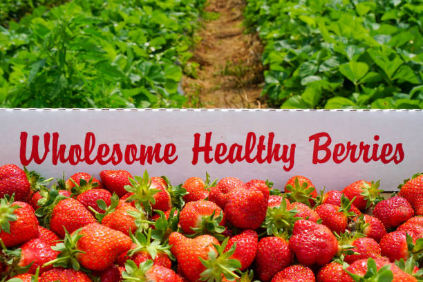 istock Wholesome healthy strawberries 1277185042