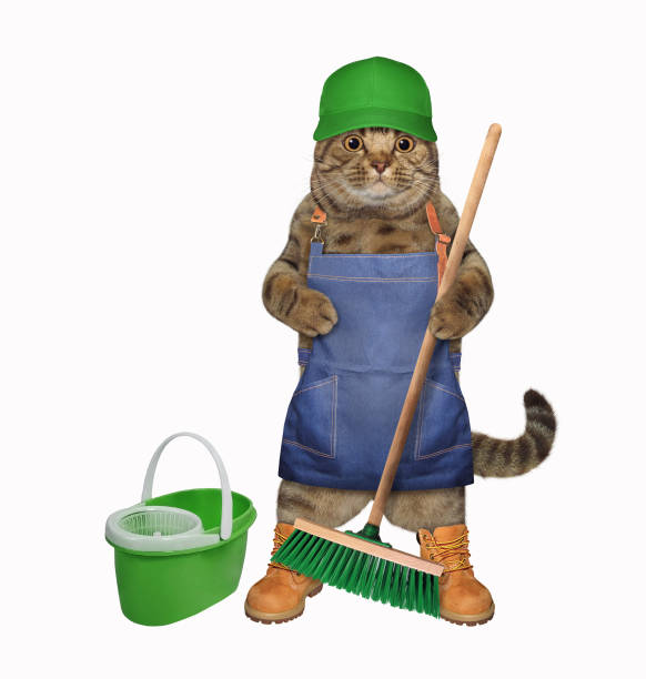 istock Cat cleaner with push broom and pail 1277186301