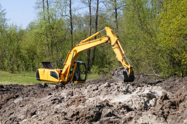 istock Big industrial excavator working on swamp at sunny day 1277187926