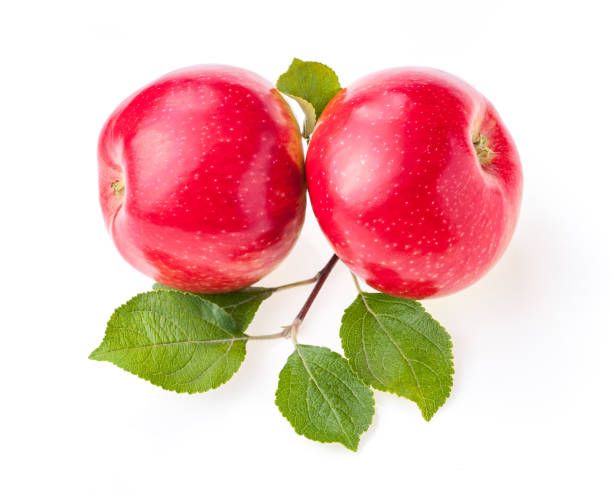 istock red apples isolated with leaves on white studio background 1277188027