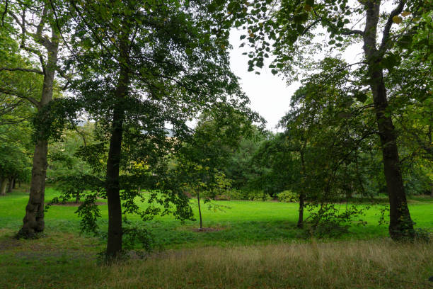 istock George Square Gardens in Edinburgh 1277190333