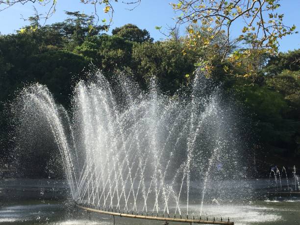 istock Pool fountain in pond green nature 1277191205