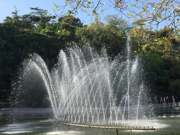 istock Pool fountain in pond green nature 1277191250
