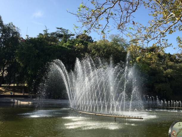 istock Pool fountain in pond green nature 1277191765