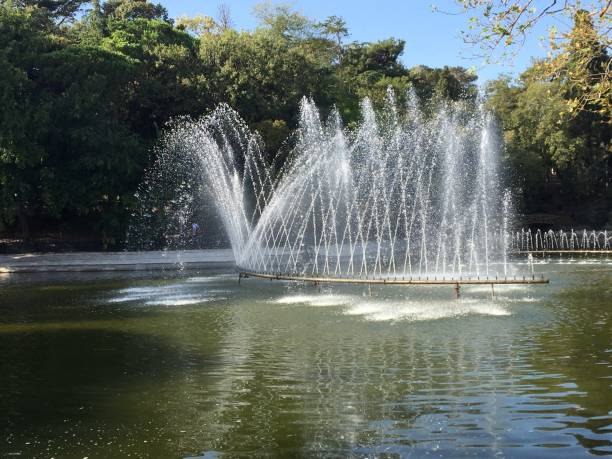 istock Pool fountain in pond green nature 1277191775