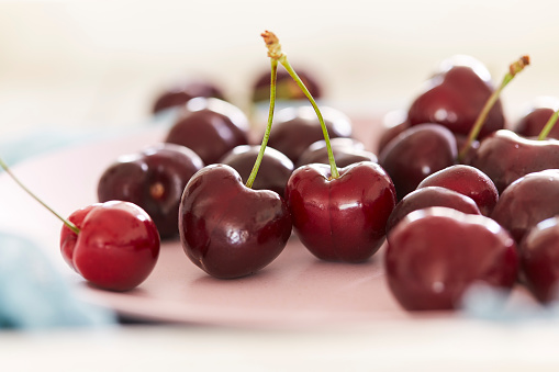 A bunch of cherries on a pink plate. The lights from the surroundings are reflected in the fruit’s surface.