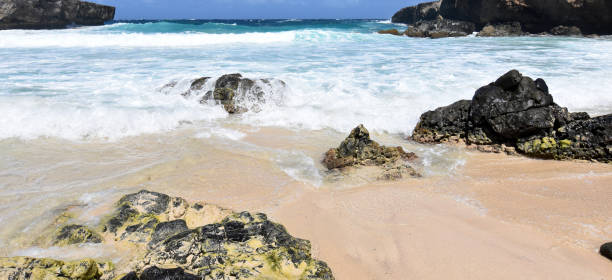 istock Gorgeous Deserted Beach in Aruba 1277194004
