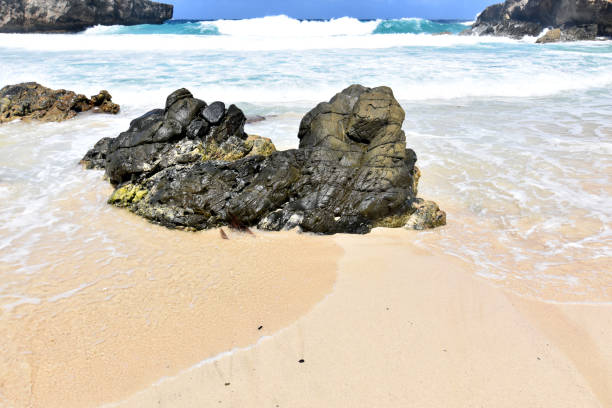 istock Gorgeous Deserted Beach in Aruba 1277194816