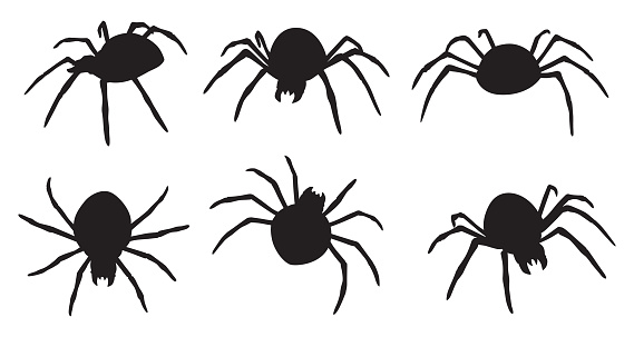 Vector silhouettes of six crawling spiders.