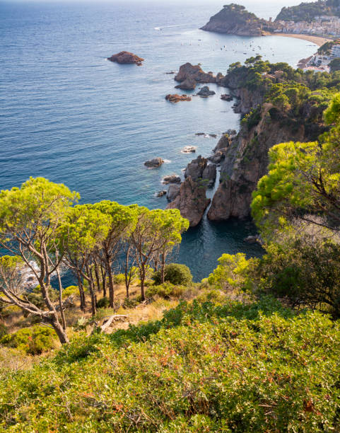 Tossa de Mar, amazing pine trees forest and best beaches in Costa Brava