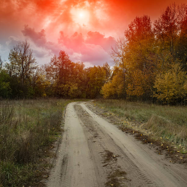 Dirt road in deciduous forest on a sunny day, rural landscape. Autumn season.