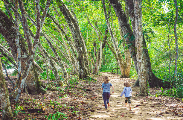 istock Playful kids running in a lush natural forest 1277200402