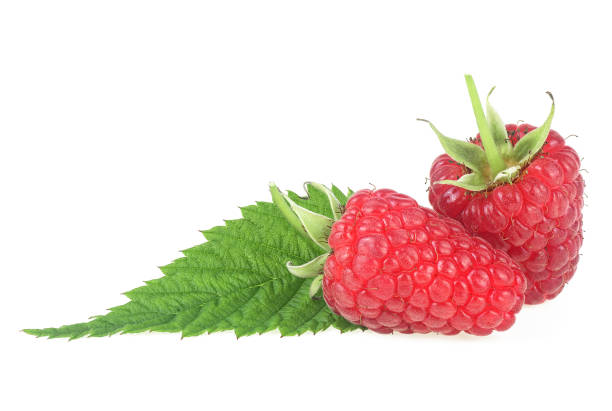 istock Sweet raspberries with green leaf isolated on a white background 1277202703