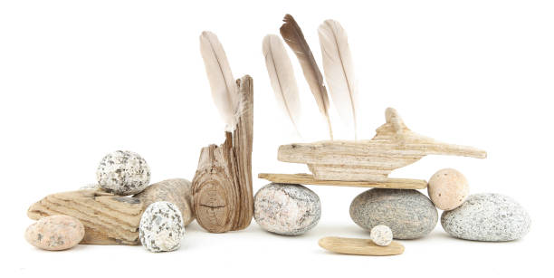 Sea beach theme decorations. Coastal composition of small nature details.