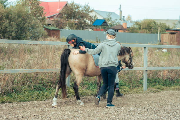 청록색 바지를 입은 어린 소년이 아이슬란드의 조랑말과 재미있는 포메락을 쓰다듬습니다. 아이는 하마 요법 후 말 에게 감사드립니다. 소년 승마, 승마에 연습 수행 - teaching child horseback riding horse 뉴스 사진 이미지